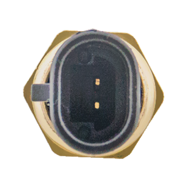 Coolant Oil Temperature Sensor for CUMMINS ISX Dodge 5.9L 4954905